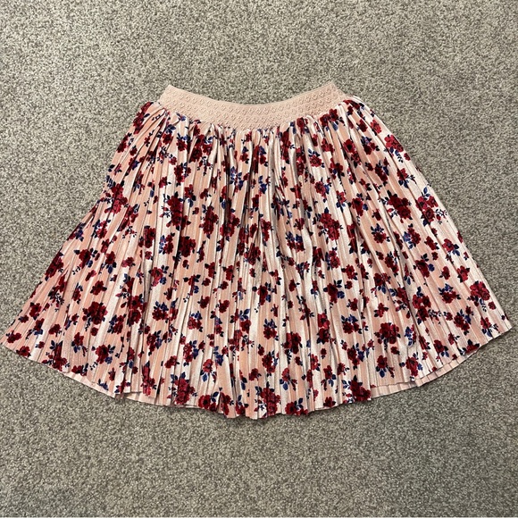 Pippa & Julie Other - Pippa & Julie Light Pink Velvet Pleated Floral Skirt with Red & Blue Accents